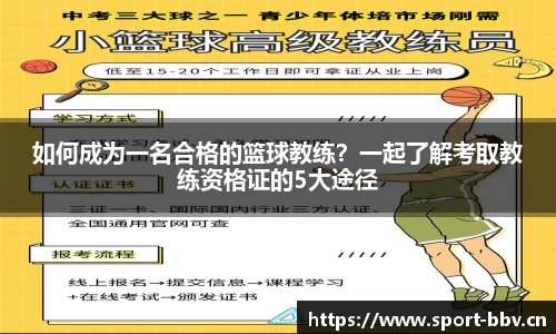 bbv体育