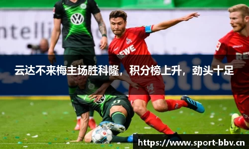 bbv体育官网
