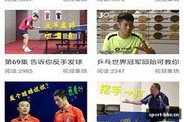 解读bbv体育
